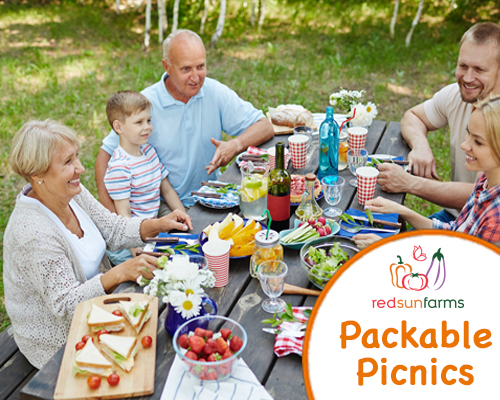 Packable Picnics